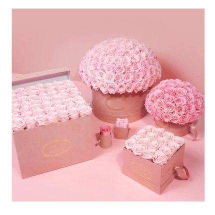 Real Flower Preserved Fresh Flower Mushroom-Shaped Haircut Valentine's Day Mother's Day Gift For Girls Confession Rose Flower Pot Finished Product