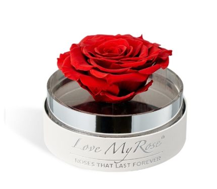 Rose single flower acrylic gift box proposal birthday gift immortal flower dried flower finished Valentine's Day gift